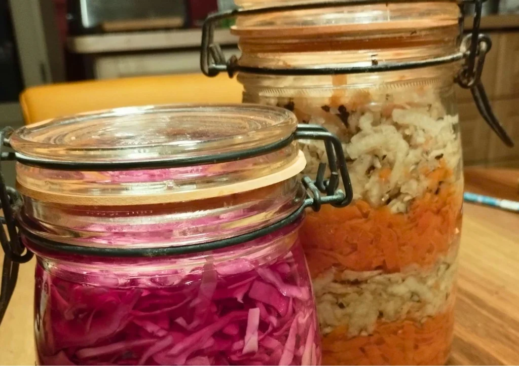 Atelier lactofermentation